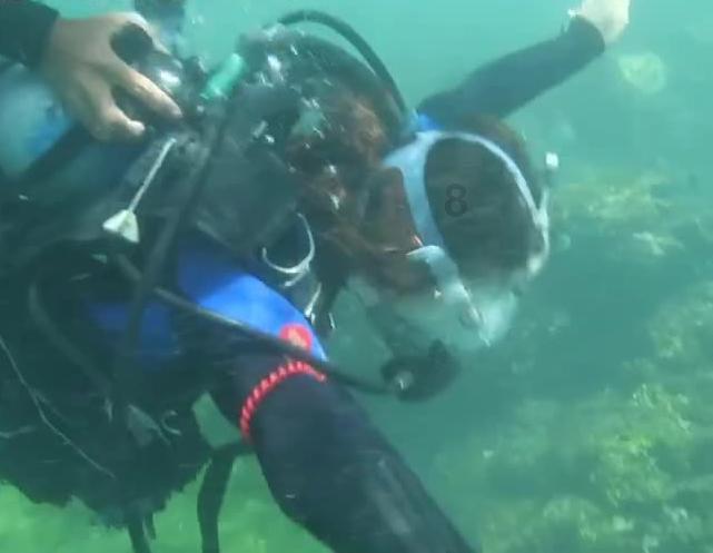 海底世界填颜色4